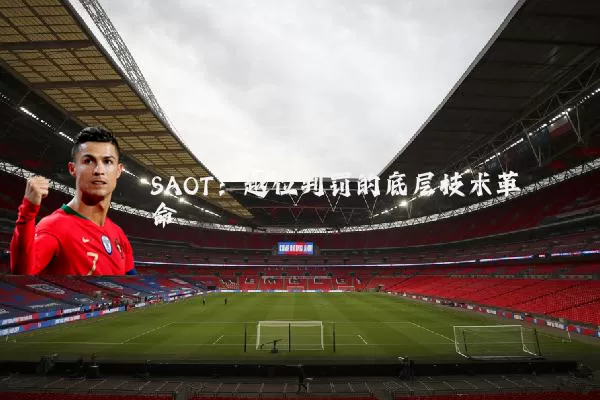 SAOT：越位判罚的底层技术革命